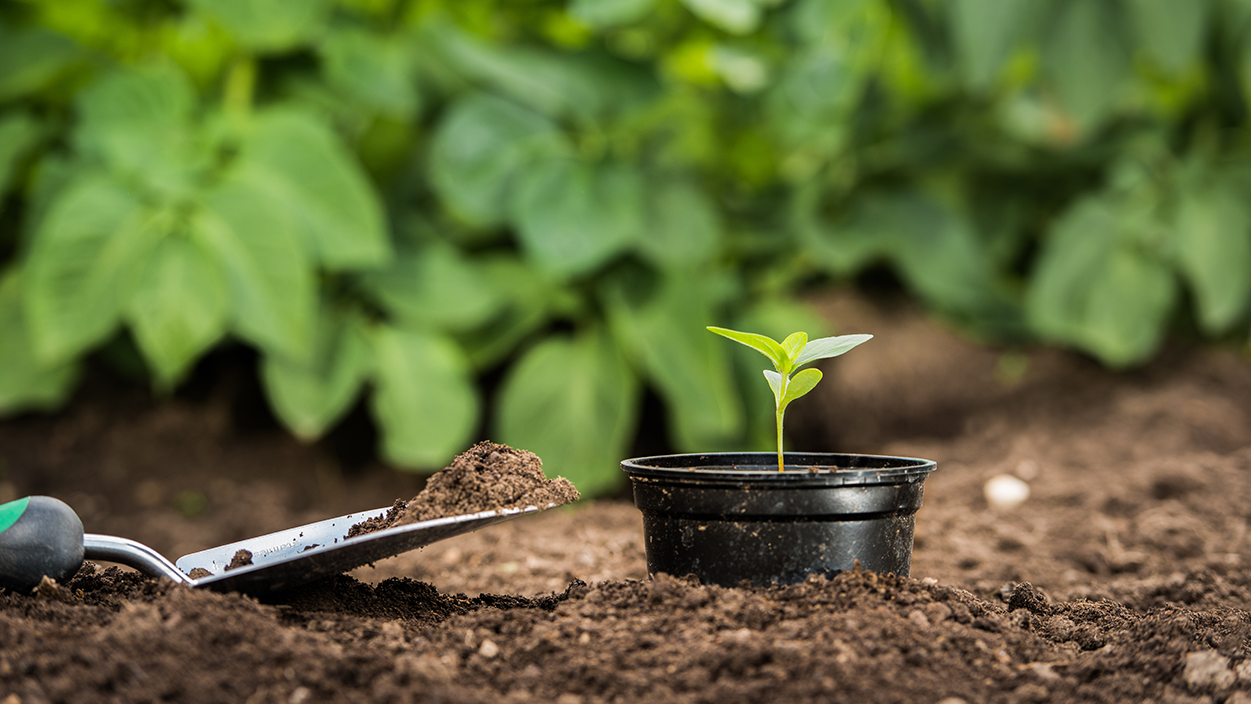 Un grand ménage du printemps pour votre logis